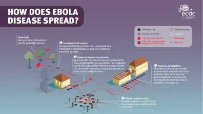 Infographic: How does Ebola disease spread? Small version